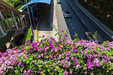 3D动作游戏《库库斯：丢失的宠物》12月登陆主机